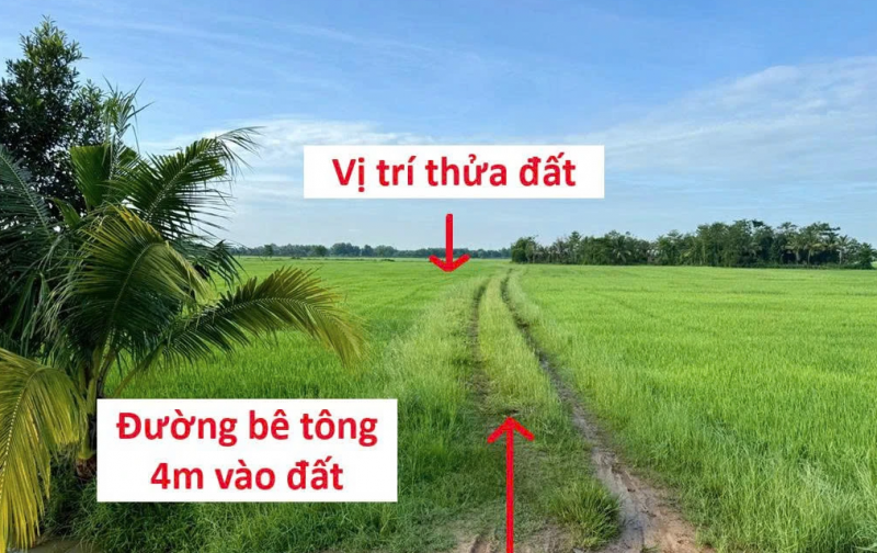 BÁN ĐẤT CHÍNH CHỦ KHÔNG QUA MÔI GIỚI, CẦN RA GẤP GIÁ TỐT